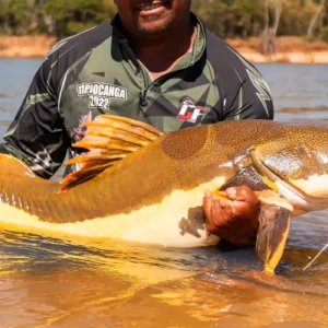 Pressão humana e hidrelétricas ameaçam o futuro dos grandes peixes migratórios © FISH TV