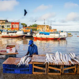 Estudo revela peixes na Amazônia com níveis de mercúrio 30 vezes acima do limite Foto: Nayara Jinknss/Greenpeace
