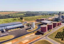 Grupo colombiano Daabon compra operações da Agropalma no Pará