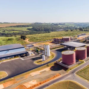 Grupo colombiano Daabon compra operações da Agropalma no Pará