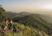 FUNBIO destina R$ 2,9 milhões para fortalecer brigadas na Caatinga e Pantanal Foto: Reprodução/SEMA