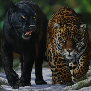 Genética revela por que algumas onças nascem pretas na floresta Imagem - Óleo sobre tela - Elton Brunetti