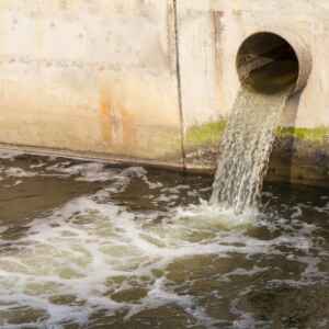 O “Spillover” Reverso: Como a falta de saneamento urbano está exportando superbactérias para a fauna amazônica Foto: koosen / Shutterstock.com