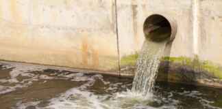 O “Spillover” Reverso: Como a falta de saneamento urbano está exportando superbactérias para a fauna amazônica Foto: koosen / Shutterstock.com