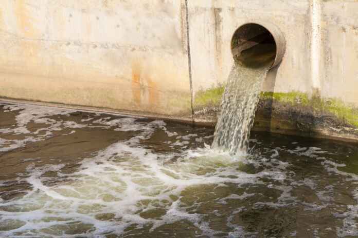 Foto: koosen / Shutterstock.com