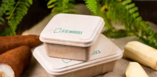 Universidades brasileiras transformam mandioca em plástico do futuro Divulgação - Já fui Mandioca