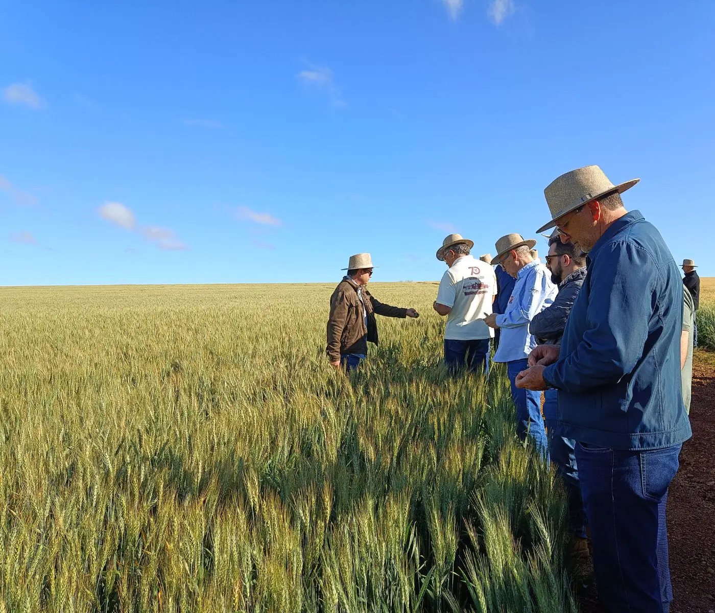 Reprodução - Nutrinews