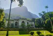 Parque Nacional da Tijuca bate recorde de visitação: como a gestão do icmbio transformou a floresta urbana no destino mais procurado do Brasil?