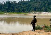 O ecocídio das fronteiras seguras: como a militarização contra refugiados climáticos destrói corredores ecológicos e acelera a fragmentação de habitats sensíveis.