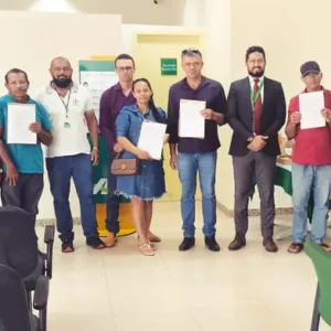 Crédito rural impulsiona a produção de carne no nordeste paraense