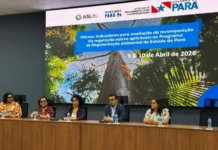 Monitoramento da vegetação nativa no Pará: entenda o novo protocolo da Semas baseado em indicadores científicos para a restauração da Amazônia