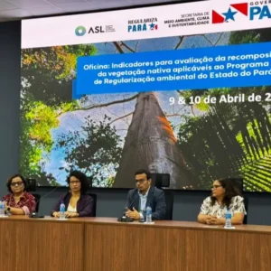 Monitoramento da vegetação nativa no Pará: entenda o novo protocolo da Semas baseado em indicadores científicos para a restauração da Amazônia