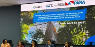 Monitoramento da vegetação nativa no Pará: entenda o novo protocolo da Semas baseado em indicadores científicos para a restauração da Amazônia