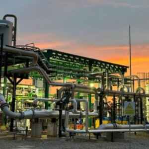 Inteligência artificial Cerebra otimiza a conversão de resíduos orgânicos em energia renovável e evita a emissão de 400 toneladas de gases poluentes anualmente