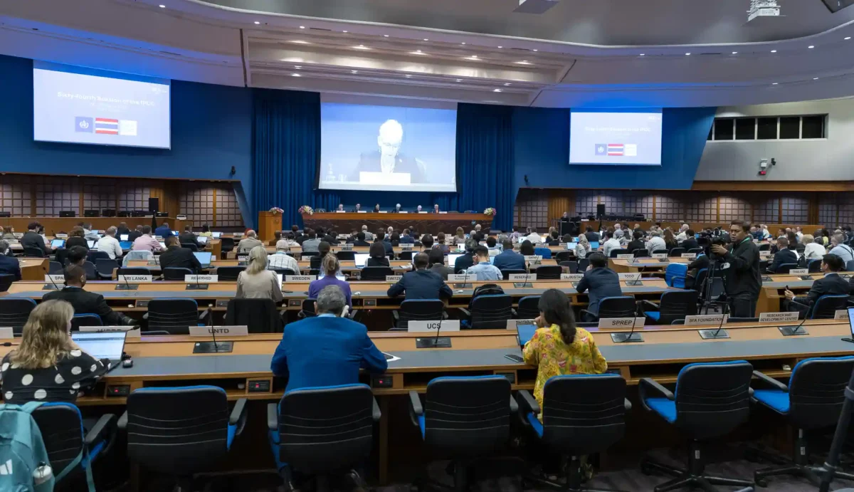 656246604 1226871956283862 7004226902947915620 n copiar