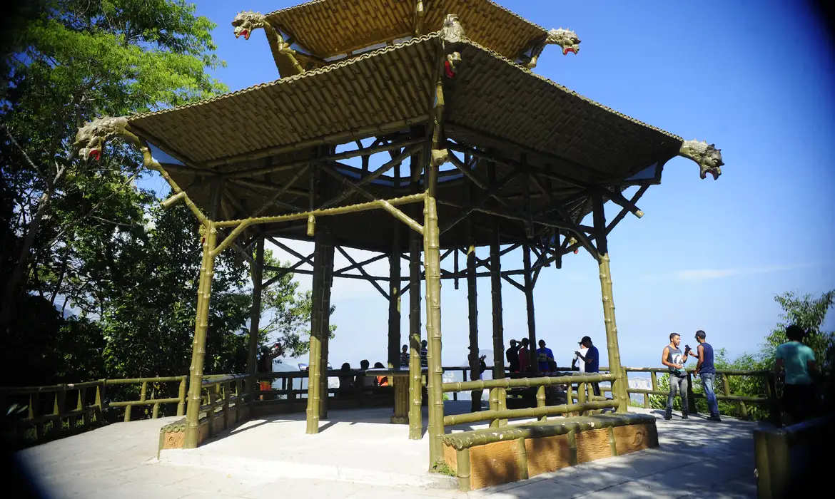 Parque Nacional da Tijuca bate recorde de visitação: como a gestão do icmbio transformou a floresta urbana no destino mais procurado do Brasil? (Pergunta) 1 943652 tng2066