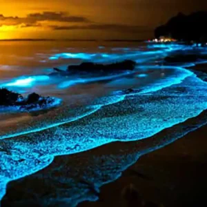 As mudanças climáticas podem produzir fitoplâncton do tipo “fast-food” Proliferação de fitoplâncton (azul claro) vista através de uma abertura nas nuvens... O fitoplâncton é composto por algas microscópicas encontradas tanto em água doce quanto em água salgada – organismos unicelulares, que flutuam nos primeiros 100 metros do mar produzindo energia e forma a base de muitas cadeias alimentares aquáticas