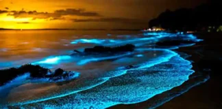 As mudanças climáticas podem produzir fitoplâncton do tipo “fast-food” Proliferação de fitoplâncton (azul claro) vista através de uma abertura nas nuvens... O fitoplâncton é composto por algas microscópicas encontradas tanto em água doce quanto em água salgada – organismos unicelulares, que flutuam nos primeiros 100 metros do mar produzindo energia e forma a base de muitas cadeias alimentares aquáticas