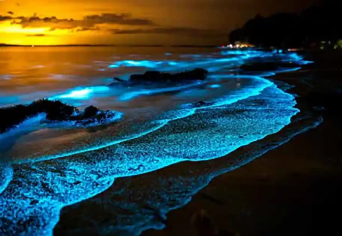 Proliferação de fitoplâncton (azul claro) vista através de uma abertura nas nuvens... O fitoplâncton é composto por algas microscópicas encontradas tanto em água doce quanto em água salgada – organismos unicelulares, que flutuam nos primeiros 100 metros do mar produzindo energia e forma a base de muitas cadeias alimentares aquáticas