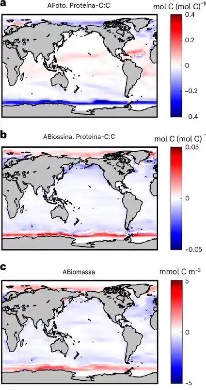 : Mudança projetada na alocação celular para proteínas e biomassa de superfície