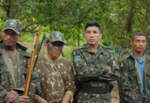 Ministério do Meio Ambiente expande proteção da floresta com foco em renda