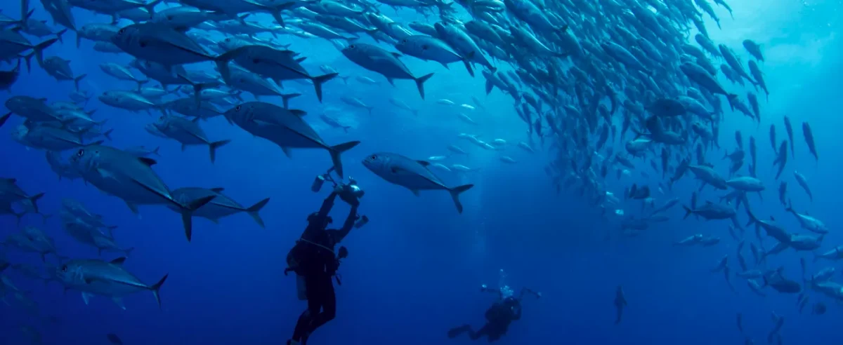 A Amazônia Azul guarda segredos que a ciência acaba de descobrir