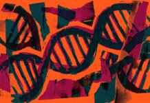 Biodiversidade invisível: como o DNA coletado no ar está revolucionando o monitoramento de espécies