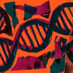 Biodiversidade invisível: como o DNA coletado no ar está revolucionando o monitoramento de espécies
