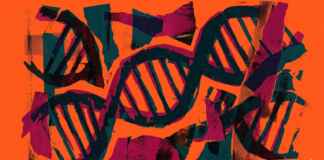 Biodiversidade invisível: como o DNA coletado no ar está revolucionando o monitoramento de espécies