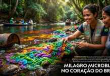 Bactérias milagrosas e o descompasso regulatório: por que a biotecnologia nacional de biorremediação in-situ ainda não é aplicada na limpeza de desastres ambientais reais?