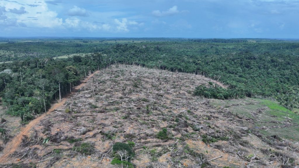 Operação Tamoiotatá 6 aplica R$ 32 milhões em multas e utiliza inteligência geoespacial para conter o desmatamento ilegal no sul do Amazonas. 1 Ipaam Segunda etapa da Operacao Tamoiotata 6 e concluida Credito da foto 2 Divulgacao Ipaam 02 04 2026 1024x576 1