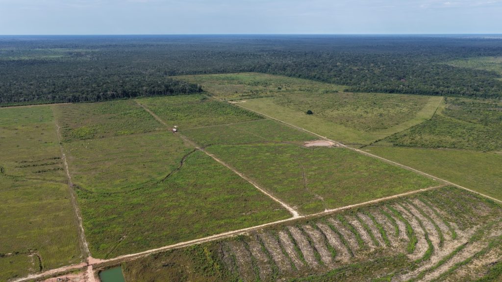 Operação Tamoiotatá 6 aplica R$ 32 milhões em multas e utiliza inteligência geoespacial para conter o desmatamento ilegal no sul do Amazonas. 2 Ipaam Segunda etapa da Operacao Tamoiotata 6 e concluida Credito da foto 3 Divulgacao Ipaam 02 04 2026 1024x576 1