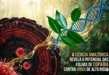 Como os compostos da copaíba vermelha revelam ação multi alvo contra o coronavírus e fortalecem a bioeconomia da Amazônia
