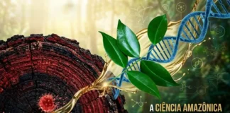 Como os compostos da copaíba vermelha revelam ação multi alvo contra o coronavírus e fortalecem a bioeconomia da Amazônia