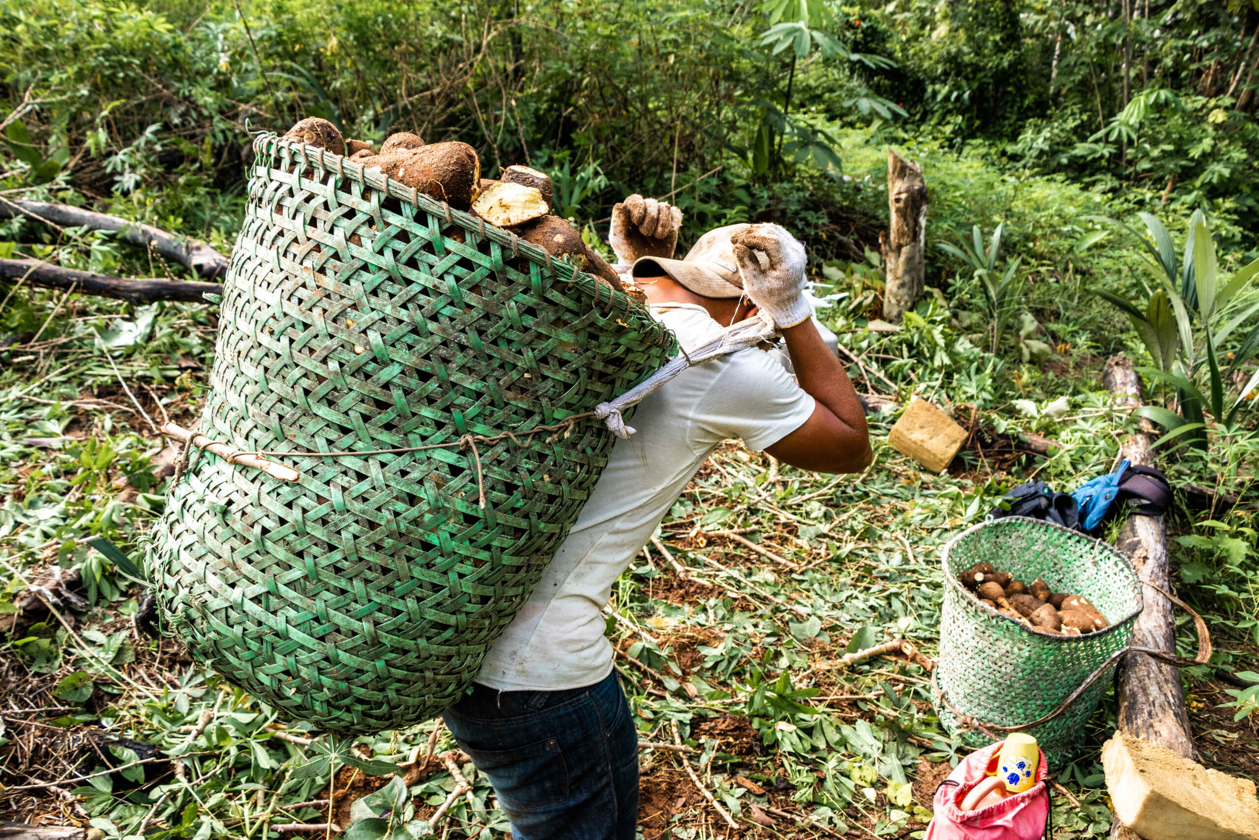 Recurso Agroflorestal Bernardo Oliveira 4