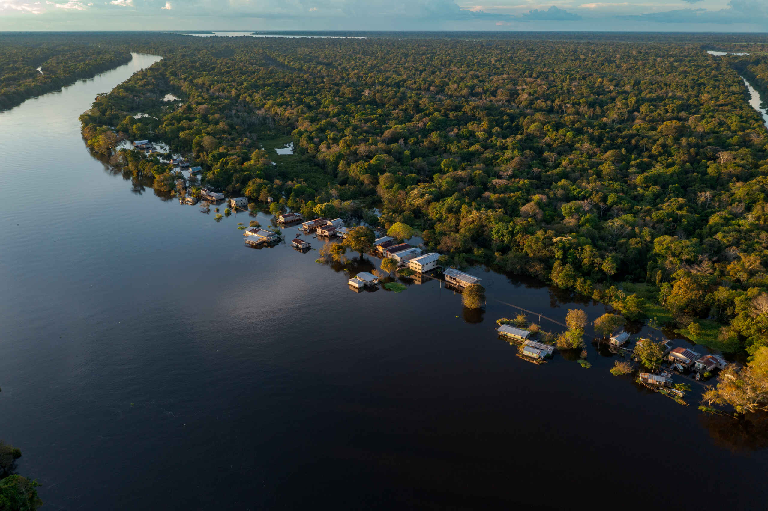 Uso sustentável na Amazônia e o impacto do manejo participativo em 26 áreas protegidas para fortalecer a bioeconomia e comunidades tradicionais. 2 Reserva Mamiraua Miguel Monteiro
