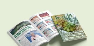 Revista Amazônia de Abril: plantas que evoluem, bioeconomia e o futuro da floresta Revista Amazônia 152 abril 2026