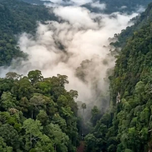 O fenômeno invisível dos rios voadores da Amazônia que transportam mais água do que o maior rio do mundo Um rio que flui pelo ar