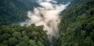 O fenômeno invisível dos rios voadores da Amazônia que transportam mais água do que o maior rio do mundo Um rio que flui pelo ar