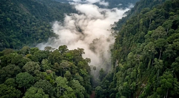 Um rio que flui pelo ar