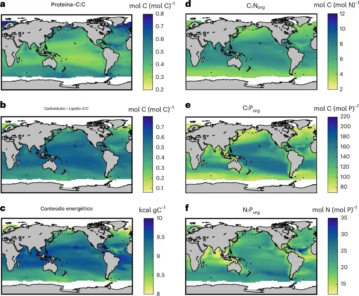 Variações globais na composição do fitoplâncton