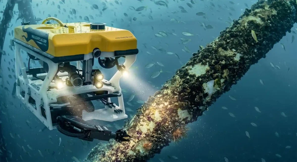 Veículo operado remotamente (ROV) iluminando um recife intocado a mil metros de profundidade.