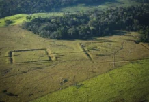 Las ciudades milenarias que desmienten el mito de la Amazonía virgen As complexas sociedades pré-coloniais e suas cidades milenares revelam uma Amazônia densamente habitada antes da chegada dos portugueses