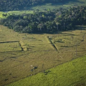 As complexas sociedades pré-coloniais e suas cidades milenares revelam uma Amazônia densamente habitada antes da chegada dos portugueses