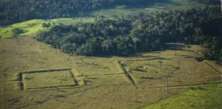 As complexas sociedades pré-coloniais e suas cidades milenares revelam uma Amazônia densamente habitada antes da chegada dos portugueses