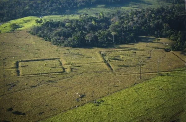 Las ciudades milenarias que desmienten el mito de la Amazonía virgen