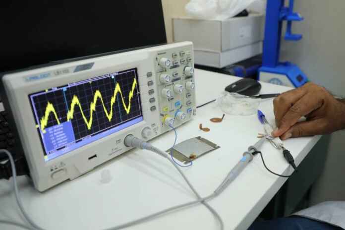 Ayrton Lopes/Decon Fapeam/Divulgação