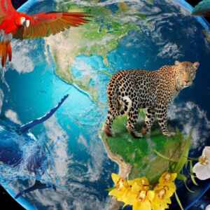 Curva universal de desempenho térmico revela por que todas as espécies da árvore da vida compartilham o mesmo limite biológico diante do calor.