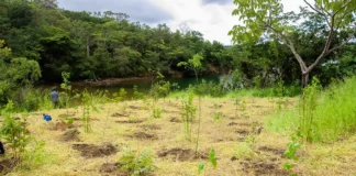 Parque da Serrinha do Paranoá e os riscos de resiliência hídrica no Distrito Federal após a exclusão de áreas estratégicas dadas ao Banco de Brasília.