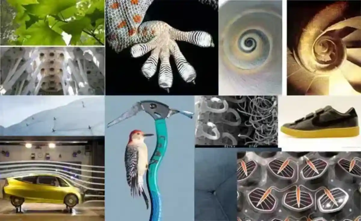 A bioeconomia do futuro já começou e ela depende dos mistérios da física quântica aplicados à nossa floresta